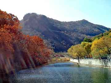 澳门今晚一肖必中特，家电面板